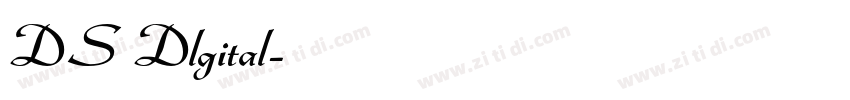 DS Dlgital字体转换